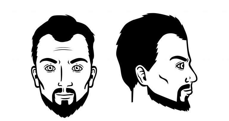 Hollywood beard - Men's Haircut