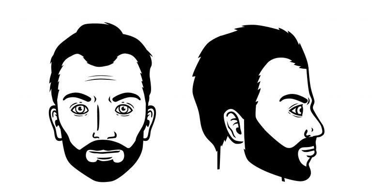 Professional beard - Men's Haircut